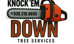 524614242_1332970302171412_2920758225732388542_n-removebg-preview